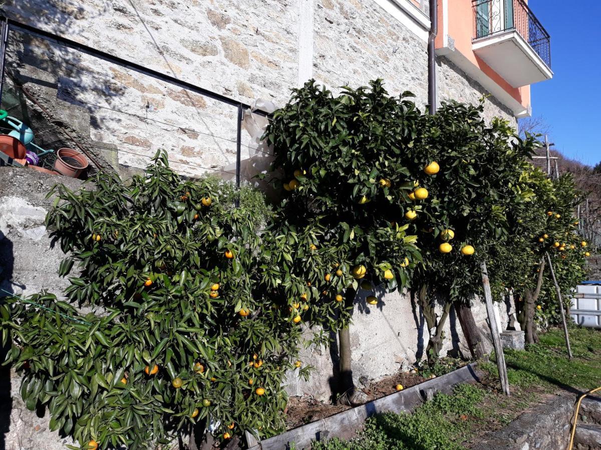Ferienwohnung Casa Ai Castelli Cannobio Exterior foto